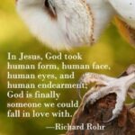 897_897937993588784_5665192831419925408_nwebsite