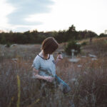 photo-1445052793853-0ee1d6ef1cbb