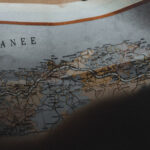 search_bg