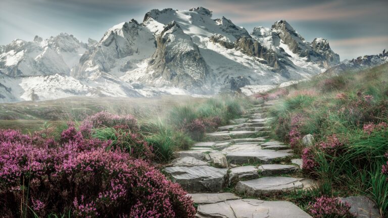 The Practice of Christian Meditation and Prayer