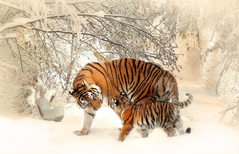 I Will Be Your Defender