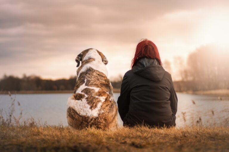 Learning to Trust Again