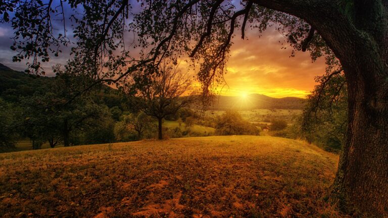 Seeing Your World in a Healthy Light