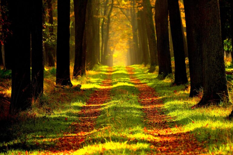 Inhabit the Moment in the Presence of God