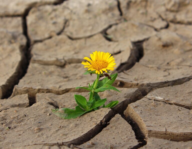 The Belief That Things Can Get Better